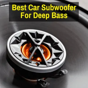 Car audio subwoofer